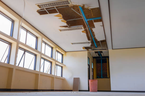 Best Fire Damage Restoration  in Plantsville, CT