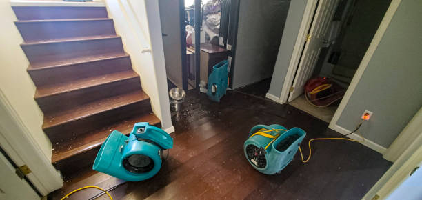 Best Basement water damage restoration  in Plantsville, CT