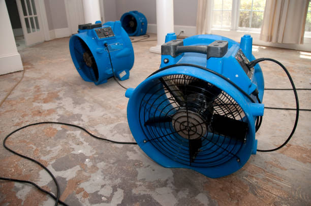 Best Local water damage restoration  in Plantsville, CT