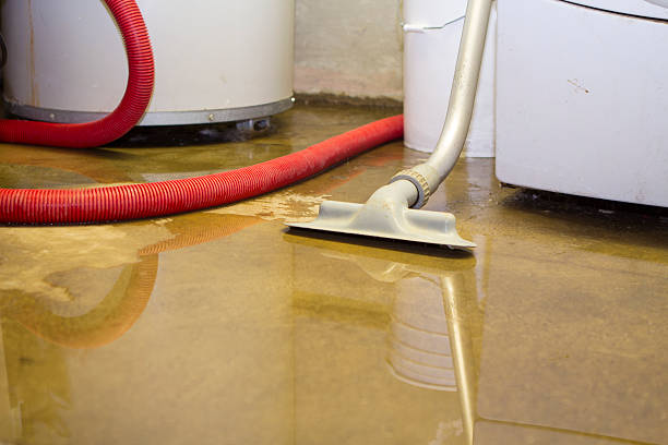 Best Flooded house restoration  in Plantsville, CT