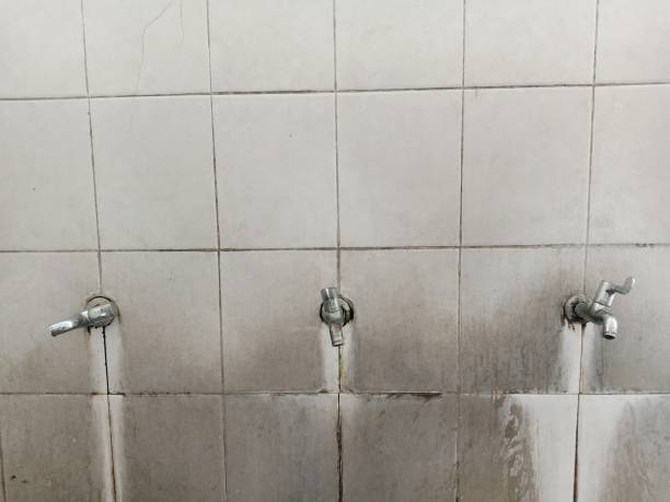 Best Water damage contractors near me  in Plantsville, CT