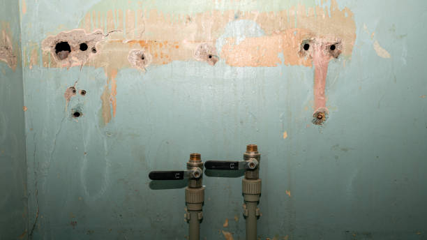Best Professional water damage repair  in Plantsville, CT